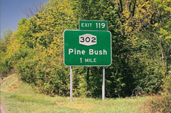 pinebush_01